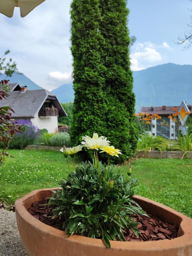 Apartma Nena Bovec Dış mekan fotoğraf